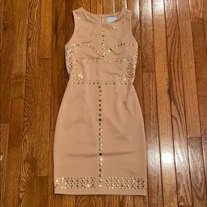 La Cite Fitted Embellished Dress